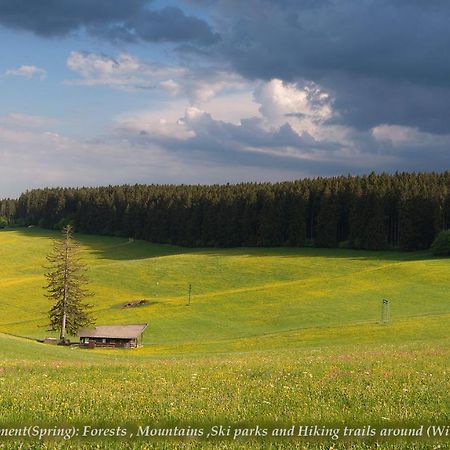 Unterkirnach Entire House In Schwarzwald With Mountain View, Private Gym,Sauna And Gardenヴィラ エクステリア 写真
