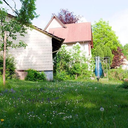 Unterkirnach Entire House In Schwarzwald With Mountain View, Private Gym,Sauna And Gardenヴィラ エクステリア 写真