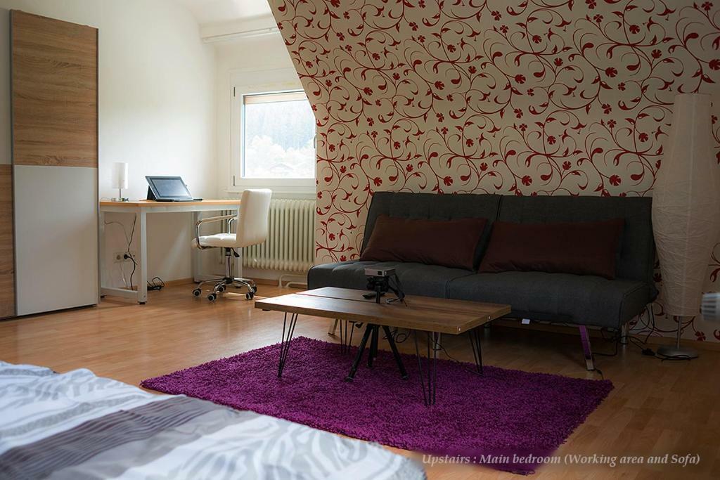 Unterkirnach Entire House In Schwarzwald With Mountain View, Private Gym,Sauna And Gardenヴィラ エクステリア 写真