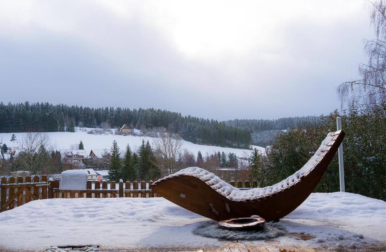 Unterkirnach Entire House In Schwarzwald With Mountain View, Private Gym,Sauna And Gardenヴィラ エクステリア 写真